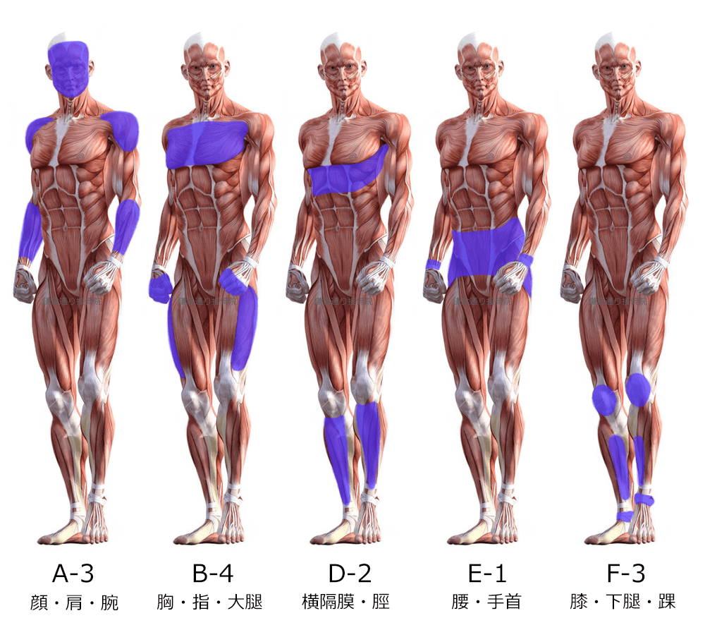 ポジションイラスト│アクシスメソッドAxismethod