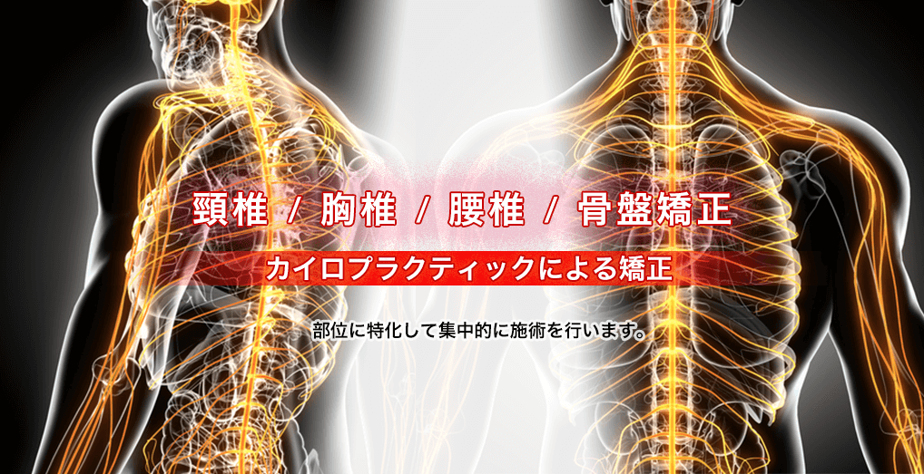 頸椎/胸椎/腰椎/骨盤矯正のカイロプラクティックによる矯正
